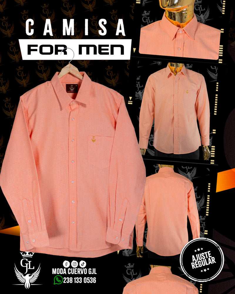 COLECCIÓN REGULAR